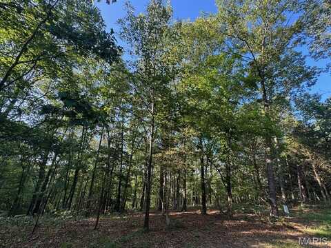 160 Steeple Point DR. Lot #9 Drive, Defiance, MO 63341