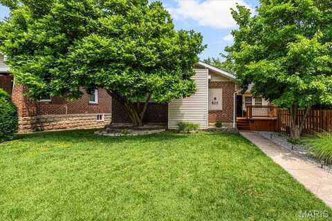 507 Alphonse Drive, Kirkwood, MO 63122