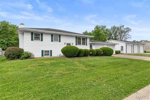 220 Elvira Drive, Fairview Heights, IL 62208