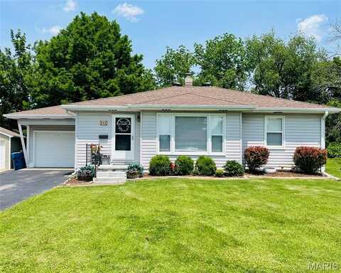 111 Elm Street, Cottage Hills, IL 62018