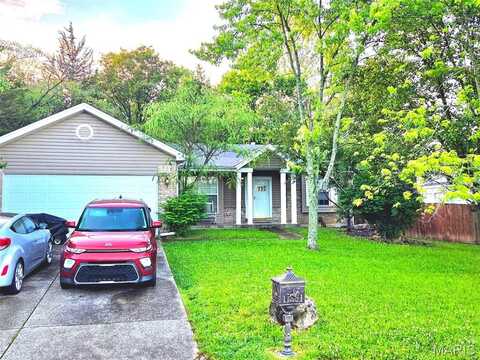 3115 Brookford Drive, Unincorporated, MO 63303