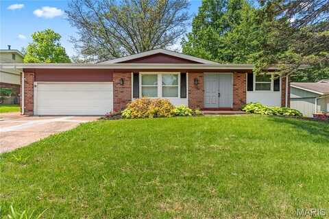 11869 Galba Drive, Florissant, MO 63033