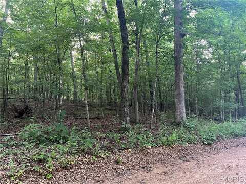00 Black River Retreat #3, Piedmont, MO 63957