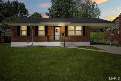 9523 Hale Drive, Saint Louis, MO 63123