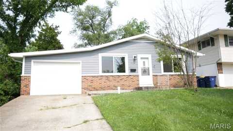 309 N Washington, De Soto, MO 63020