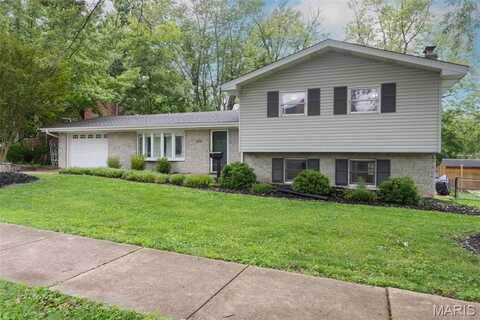 109 Virginia Avenue, Crystal City, MO 63019
