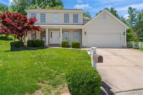 5426 Tesson Parc Court, Saint Louis, MO 63128