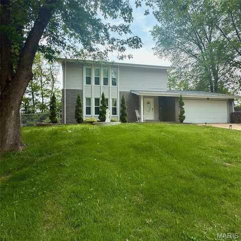 11630 Carolview Drive, Florissant, MO 63033