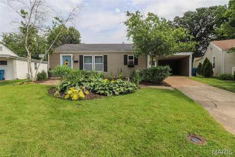 6441 Darlow Drive, Affton, MO 63123