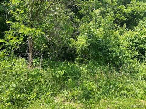 212 Pine Ridge Drive, Godfrey, IL 62035
