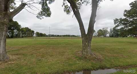 13352 Flat Branch Road, Carlyle, IL 62231