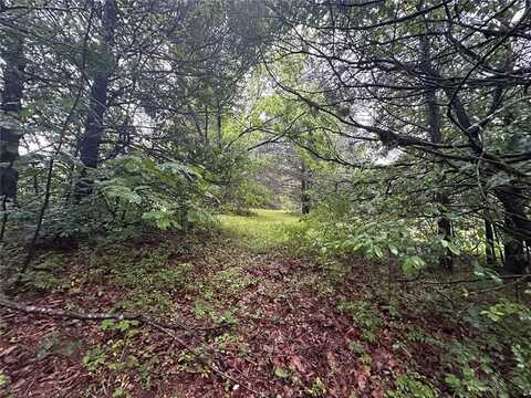 123 Seven Pines Drive, Unincorporated, MO 65630