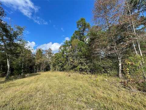 1 Woodland Heights W, Poplar Bluff, MO 63901