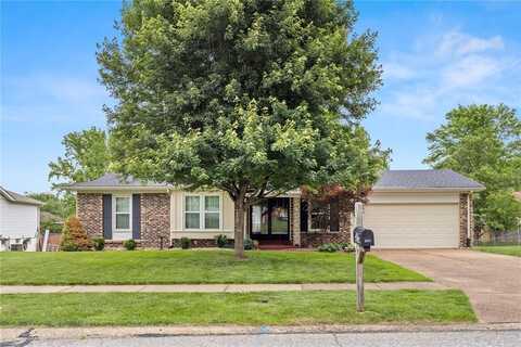 894 Napoli Drive, Ballwin, MO 63021