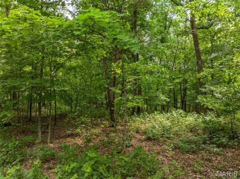 2528 Alpine Trails Drive, Innsbrook, MO 63390