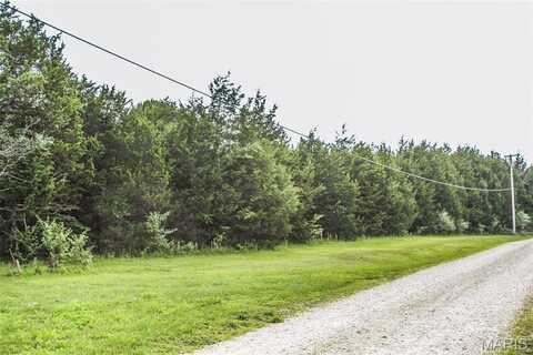 749 Lakeview Drive, Leslie, MO 63056