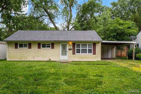 14 Lillian Drive, Belleville, IL 62226