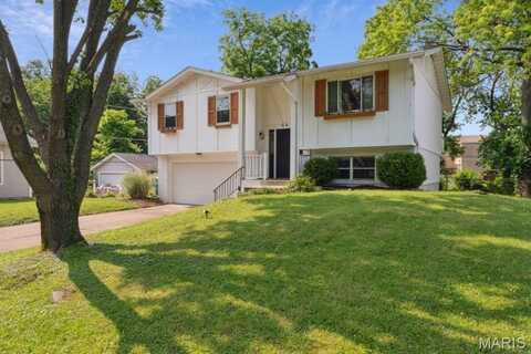 44 Chestnut Avenue, Webster Groves, MO 63119