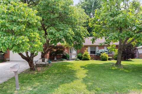 112 Bourdelais Drive, Swansea, IL 62226