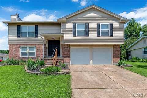 5731 Lost Brook Court, Saint Louis, MO 63129