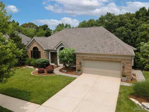 550 Autumn Oaks Drive, Ellisville, MO 63021
