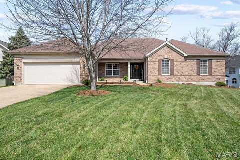 17 Nantucket Island Court, Wildwood, MO 63040