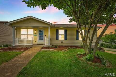 701 E Pratt Street, De Soto, MO 63020