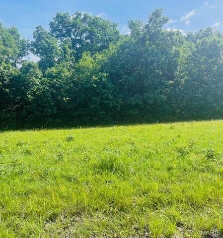 3626 Pumpstation Road, Rosebud, MO 63091