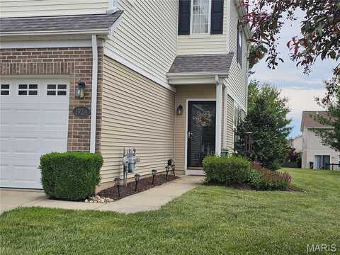 1924 Celebration Park Circle, Belleville, IL 62220