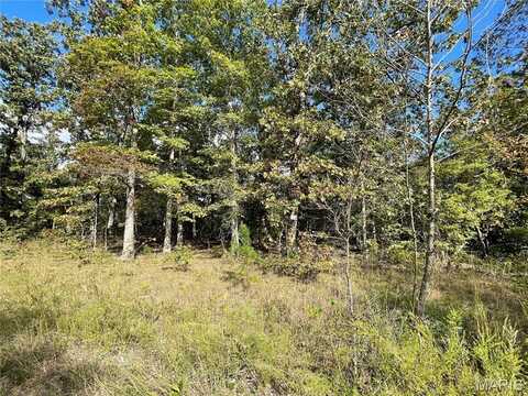 11 Woodland Heights W, Poplar Bluff, MO 63901