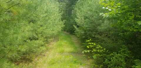 M13, L36, Harland Cunningham Road, Penobscot, ME 04476