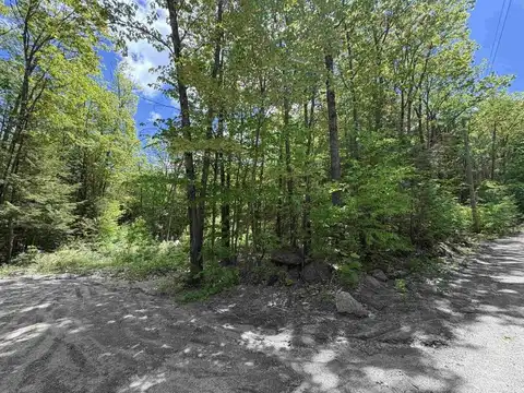 Craig Road, Antrim, NH 03440