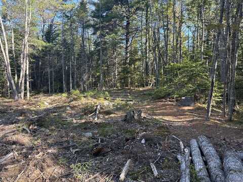 61 Gerards Trail Trail, Blue Hill, ME 04614