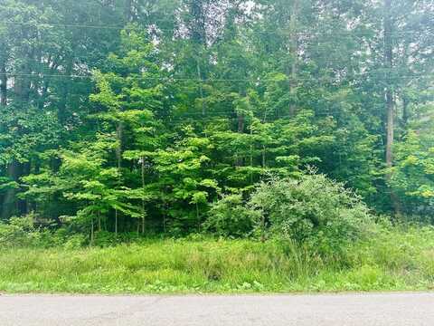 7326 State Route 19 Unit 10 Lot 46&47, Mount Gilead, OH 43338
