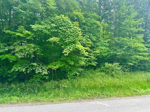 7326 State Route 19 Unit 10 Lot 46&47, Mount Gilead, OH 43338