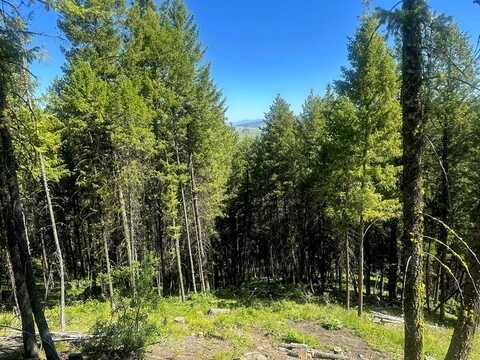 1562 Crown Point Parkway, Cascade, ID 83611
