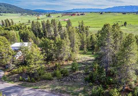 435 Wilhelm Creek Court, McCall, ID 83638