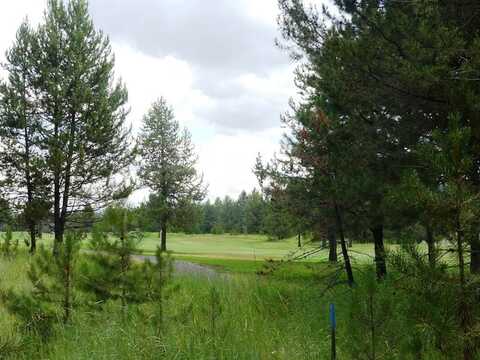 430 Wilhelm Creek Court, McCall, ID 83638