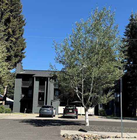 601 Hemlock Street unit: 3, McCall, ID 83638