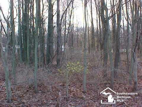 Lot 18/19 Onway, Ottawa Lake, MI 49267