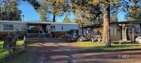 19 Chukar Ln, Alturas, CA 96101