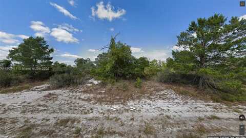 341 NE Galapagos Ave, Lake Placid, FL 33852