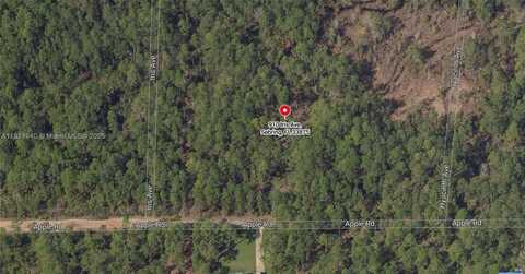 910 Iris Avenue, Sebring, FL 33875