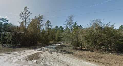 Lot 10 NE 100 AVE, Other City - In The State Of Florida, FL 32618