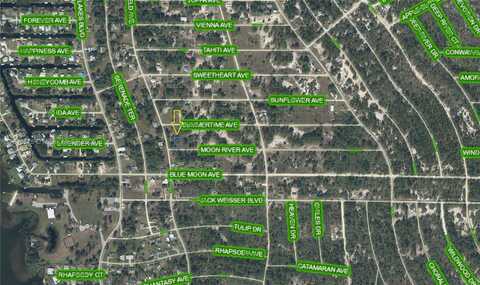 236 MOON RIVER AVE, Lake Placid, FL 33852