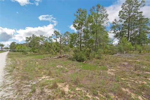 3055 Scoralick Rd,, Avon Park, FL 33825