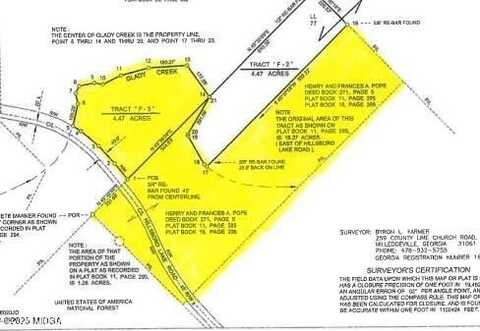 377 Hillsboro Lake Road, Hillsboro, GA 31038