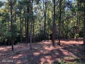 122 Laurel Ridge, Forsyth, GA 31029
