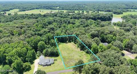 Michael Drive, Lake Cormorant, MS 38641