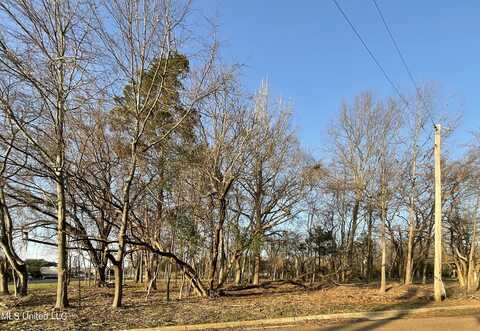 Old Canton Road, Jackson, MS 39211